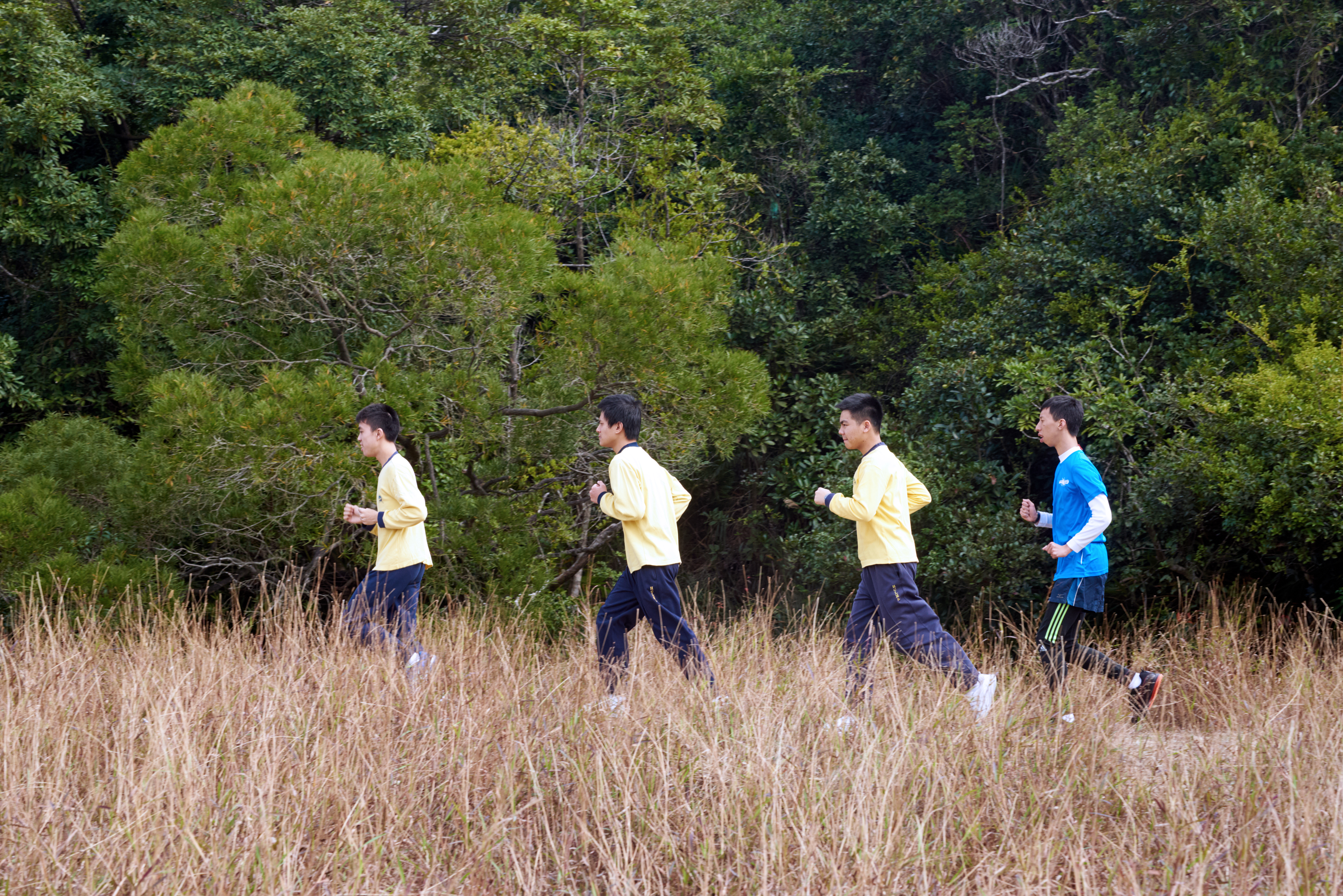 Hong Chi Trailwalker Team: Never Give Up